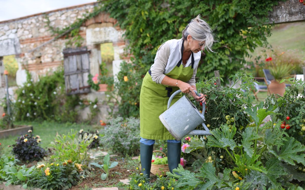 6 gardening projects for seniors to try at home